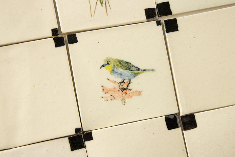 Hand-Painted Birds, Cape Fynbos Squares Ceramic Tiles - DHMHCB-WSS