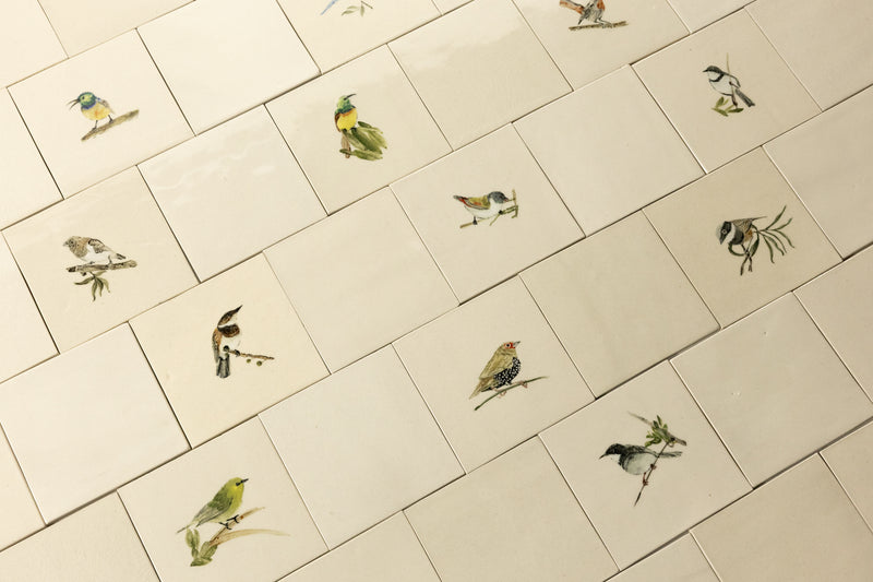Cape Birds on Cream Squares Ceramic Tiles - 6QGKXH-WS