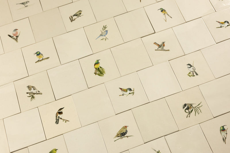 Cape Birds on Cream Squares Ceramic Tiles - 6QGKXH-WS
