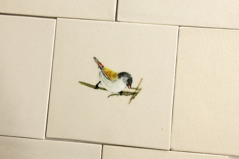 Cape Birds on Cream Squares Ceramic Tiles - 6QGKXH-WS