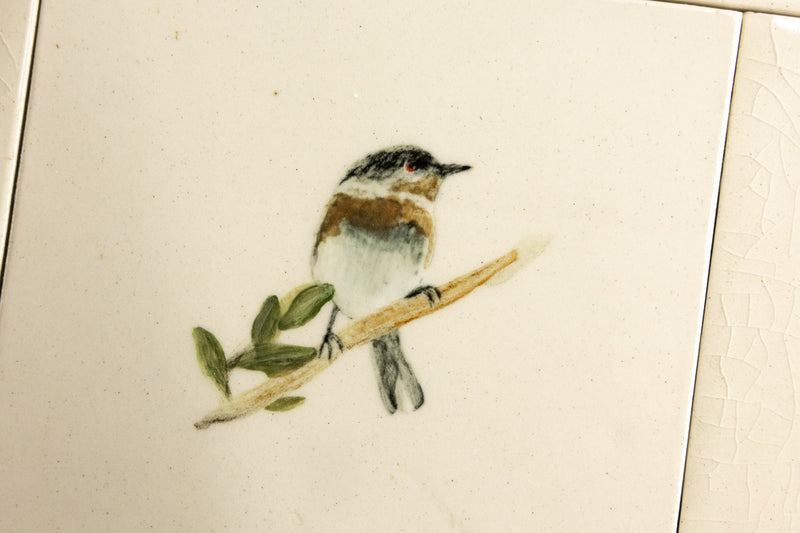 Cape Birds on Cream Squares Ceramic Tiles - 6QGKXH-WS