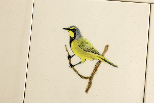 Cape Birds on Cream Squares Ceramic Tiles - 6QGKXH-WS