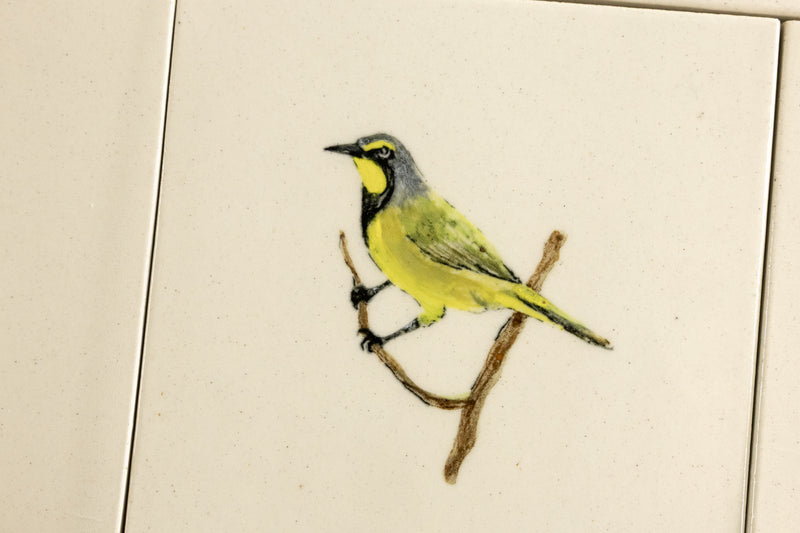 Cape Birds on Cream Squares Ceramic Tiles - 6QGKXH-WS