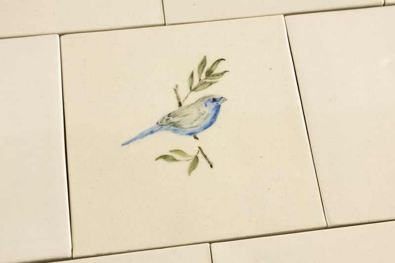 Cape Birds on Cream Squares Ceramic Tiles - 6QGKXH-WS