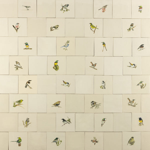 Cape Birds on Cream Squares Ceramic Tiles - 6QGKXH-WS