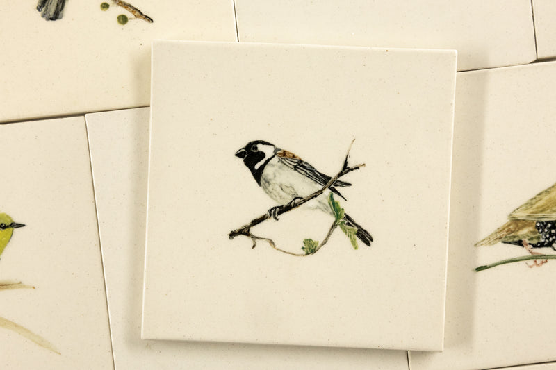 Cape Birds on Cream Squares Ceramic Tiles - 6QGKXH-WS