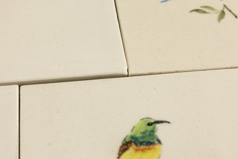 Cape Birds on Cream Squares Ceramic Tiles - 6QGKXH-WS