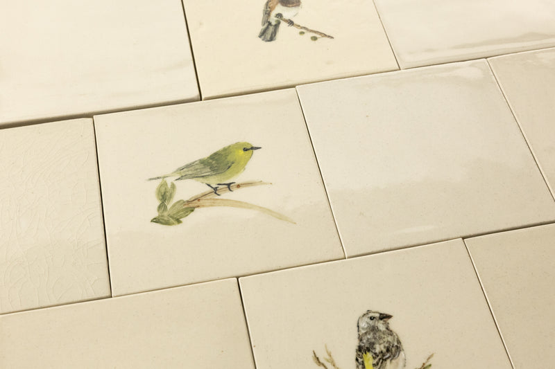 Cape Birds on Cream Squares Ceramic Tiles - 6QGKXH-WS