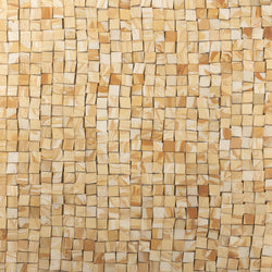 Tan Terra-Cotta Mosaic Tiles Vitrified BBG345