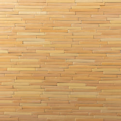 Slender Orange Rectangular Tiles - DCFHEH-WS