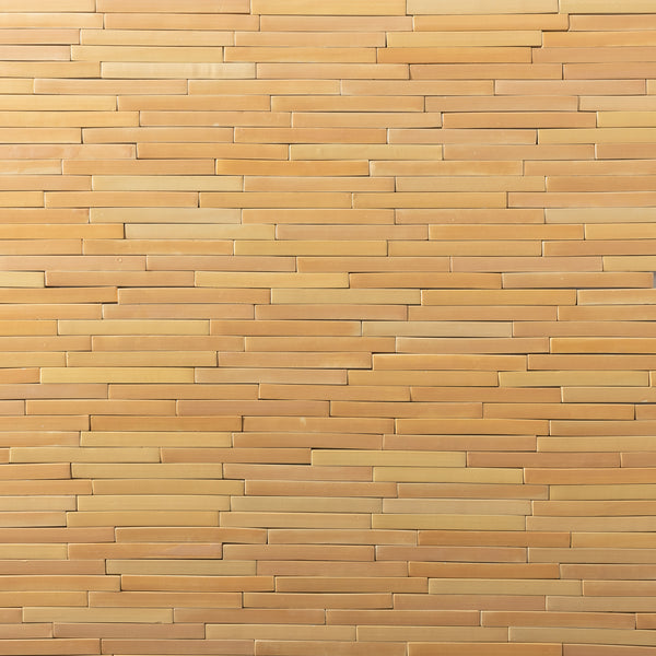 Slender Orange Rectangular Tiles - DCFHEH-WS