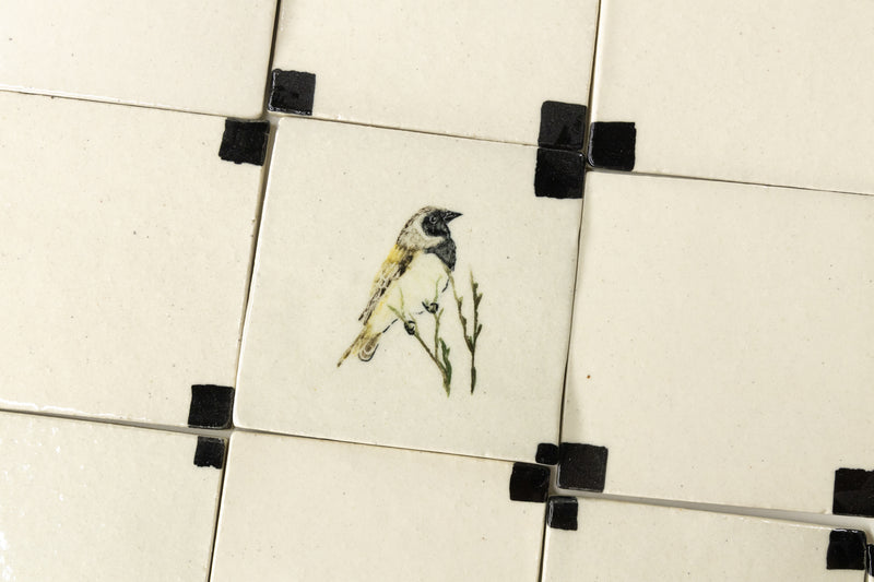 Hand-Painted Birds, Cape Fynbos, and Graphic Squares Ceramic Tiles - DHMHCB-WS