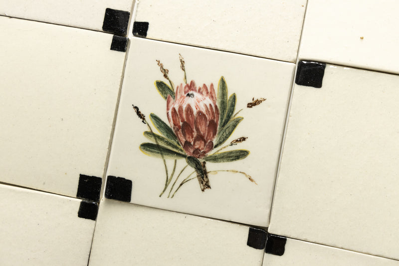 Hand-Painted Birds, Cape Fynbos, and Graphic Squares Ceramic Tiles - DHMHCB-WS