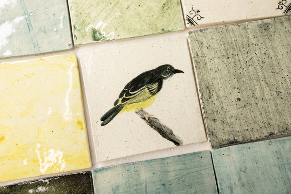 Colourful Blend of Hand Painted Birds on Square Tiles FBFQEN_21B