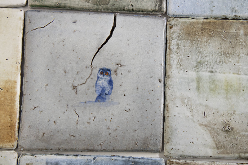 Hand Painted Owls on Colour-washed Square Tiles - HKEKHG