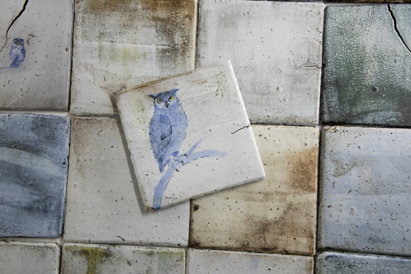 Hand Painted Owls on Colour-washed Square Tiles - HKEKHG