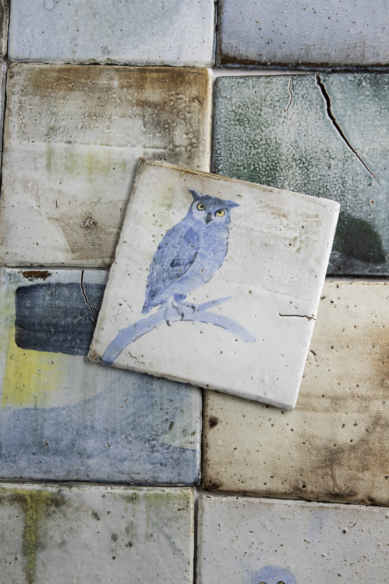 Hand Painted Owls on Colour-washed Square Tiles - HKEKHG