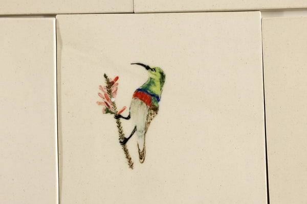 Cape Birds on Cream Squares Ceramic Tiles - KYIBY6-WS