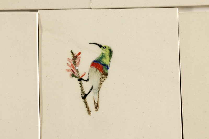 Cape Birds on Cream Squares Ceramic Tiles - KYIBY6-WS