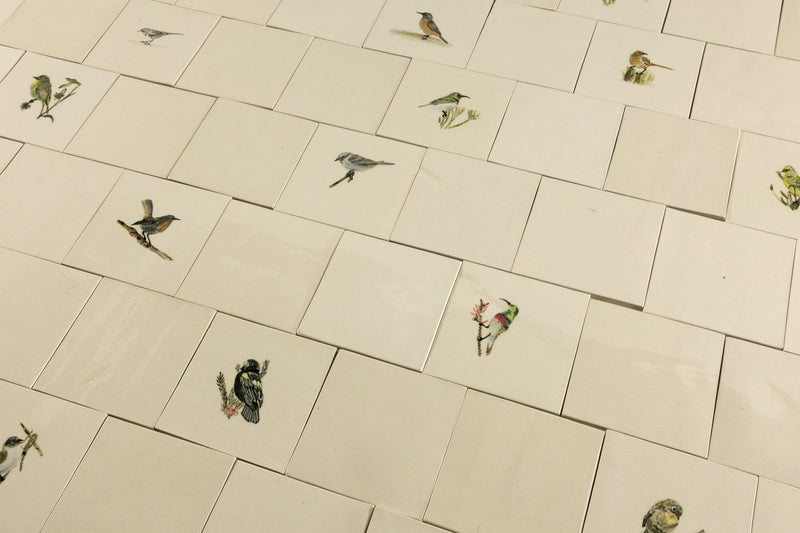Cape Birds on Cream Squares Ceramic Tiles - KYIBY6-WS