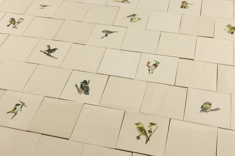 Cape Birds on Cream Squares Ceramic Tiles - KYIBY6-WS