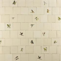 Cape Birds on Cream Squares Ceramic Tiles - KYIBY6-WS