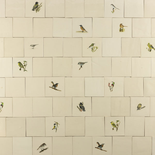 Cape Birds on Cream Squares Ceramic Tiles - KYIBY6-WS