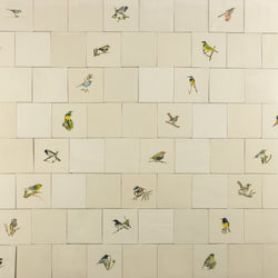 Cape Birds on Cream Squares Ceramic Tiles - KYIBY6