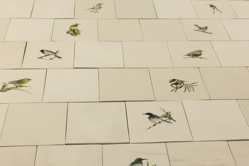 Cape Birds on Cream Squares Ceramic Tiles - KYIBY6