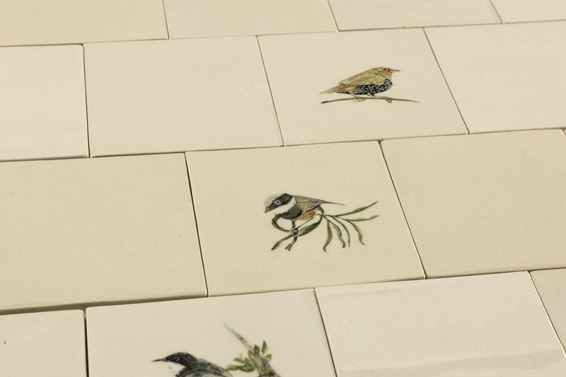 Cape Birds on Cream Squares Ceramic Tiles - KYIBY6