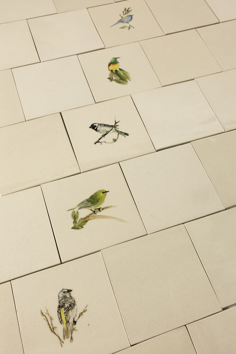 Cape Birds on Cream Squares Ceramic Tiles - KYIBY6