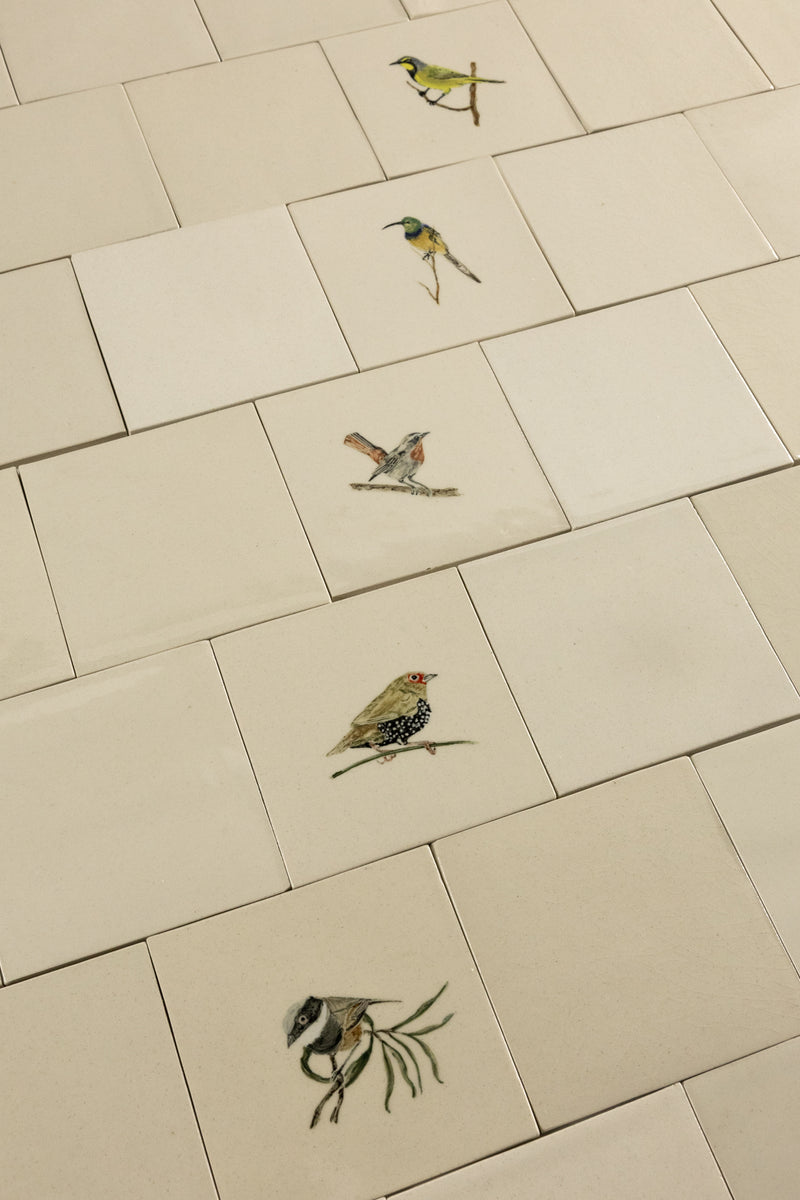 Cape Birds on Cream Squares Ceramic Tiles - KYIBY6