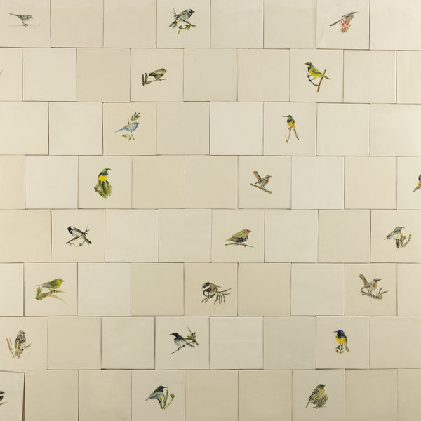 Cape Birds on Cream Squares Ceramic Tiles - KYIBY6