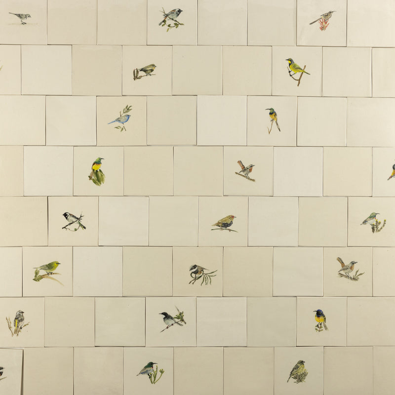 Cape Birds on Cream Squares Ceramic Tiles - KYIBY6