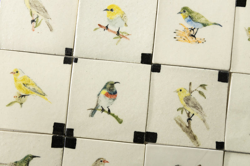 Elegant Hand-Painted Cape Birdlife Square Tiles - DHMHCB - Birds