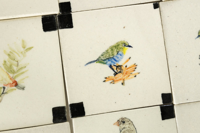 Elegant Hand-Painted Cape Birdlife Square Tiles - DHMHCB - Birds