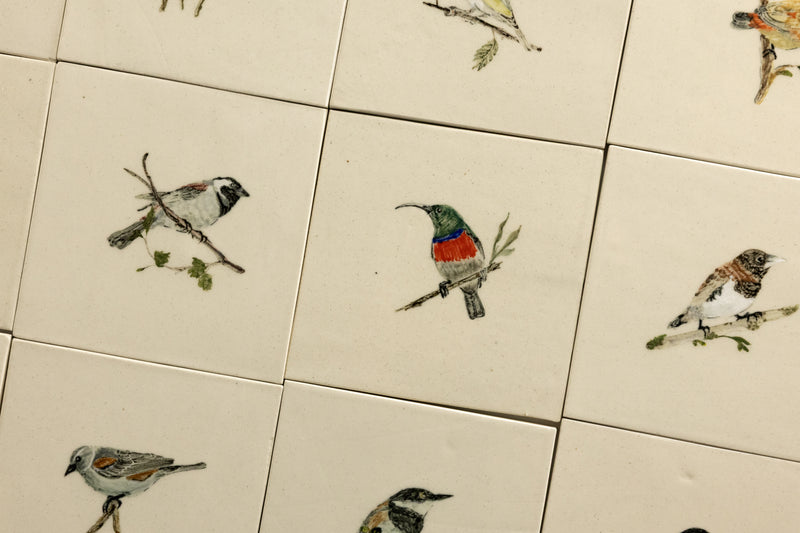 Cape Birds on Cream Squares Ceramic Tiles - SX52WR-WS