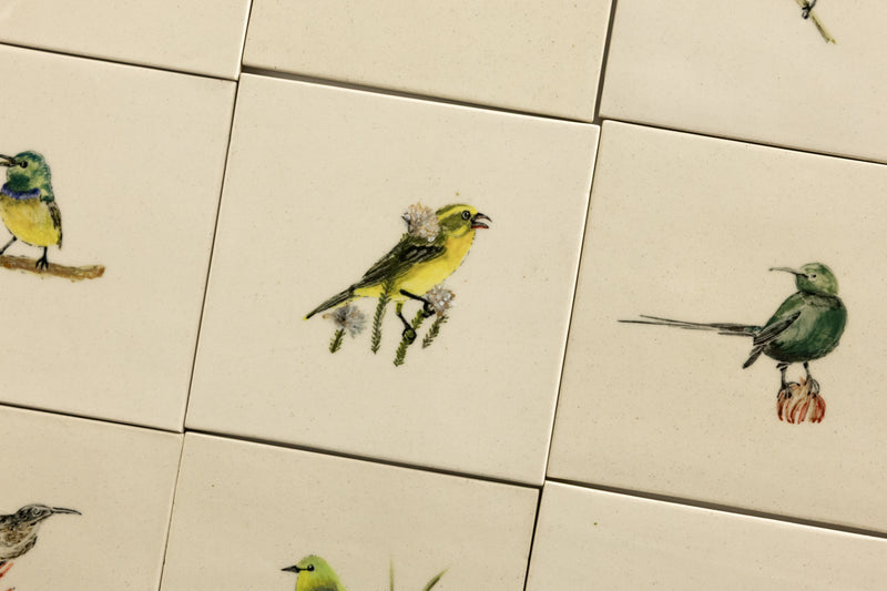 Cape Birds on Cream Squares Ceramic Tiles - SX52WR-WS