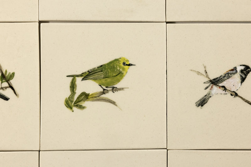Cape Birds on Cream Squares Ceramic Tiles - SX52WR-WS