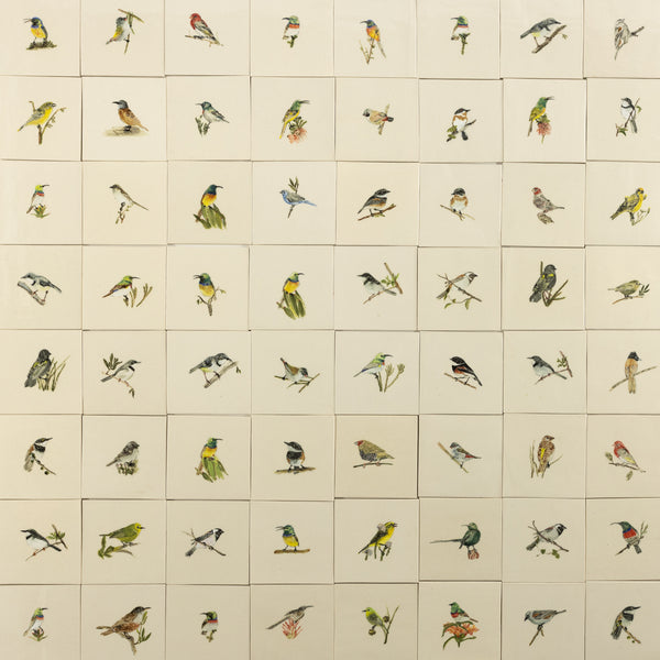 Cape Birds on Cream Squares Ceramic Tiles - SX52WR-WS