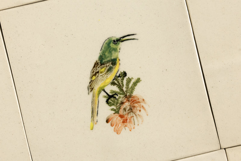 Cape Birds on Cream Squares Ceramic Tiles - SX52WR-WS