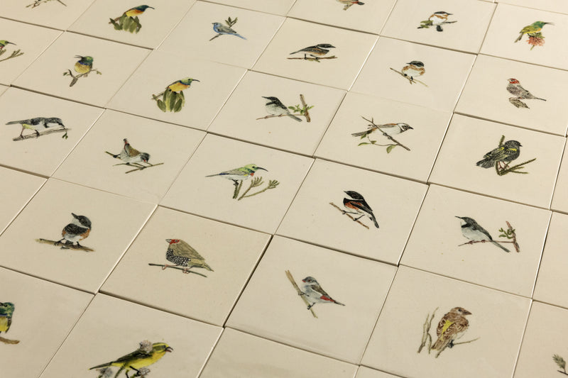 Cape Birds on Cream Squares Ceramic Tiles - SX52WR-WS