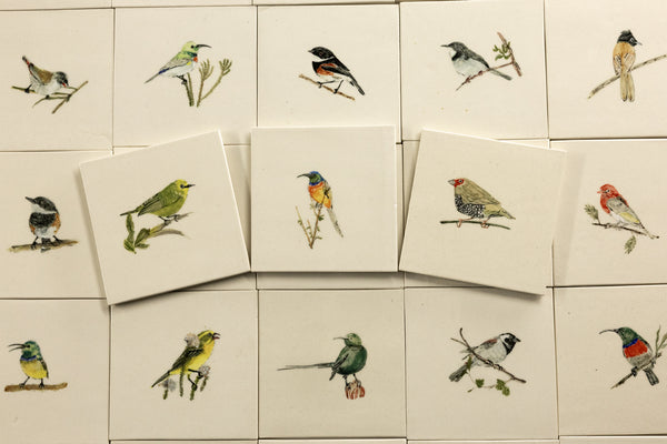 Cape Birds on Cream Squares Ceramic Tiles - SX52WR-WS