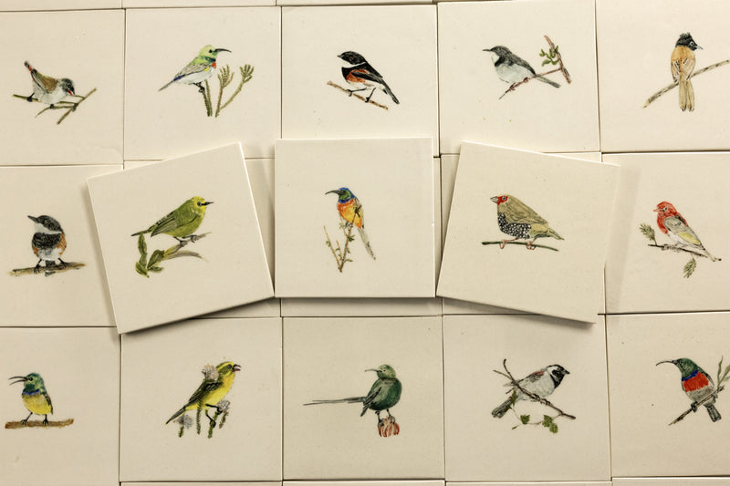Cape Birds on Cream Squares Ceramic Tiles - SX52WR-WS