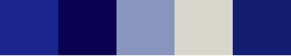 Hand-Painted Blue & White Abstract - M9JJRE-WS