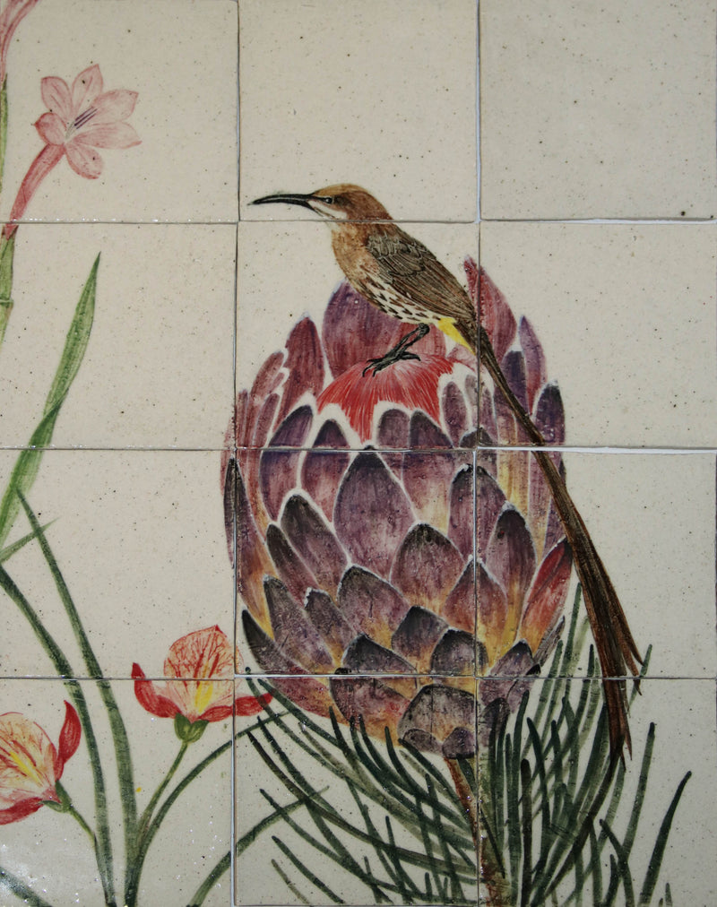 HAND PAINTED FYNBOS AND BIRD MURAL AJRMC9