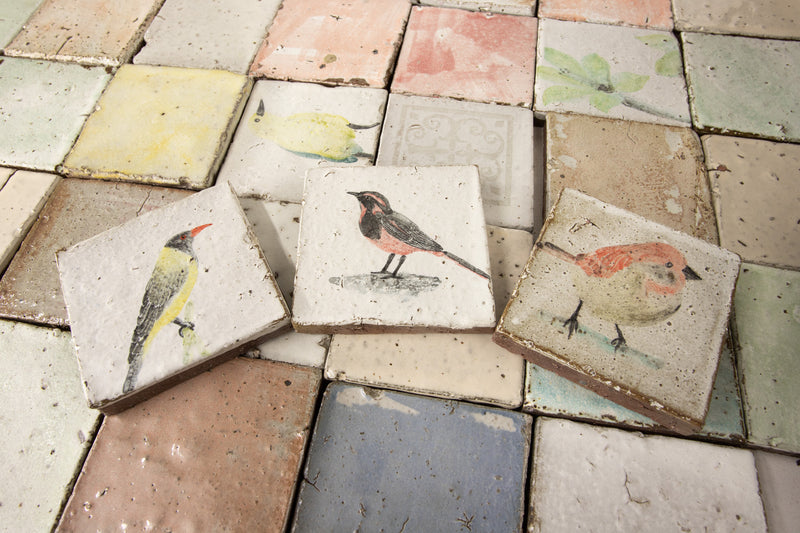 Hand Painted Birds on Square Tiles K2MSVE 6B